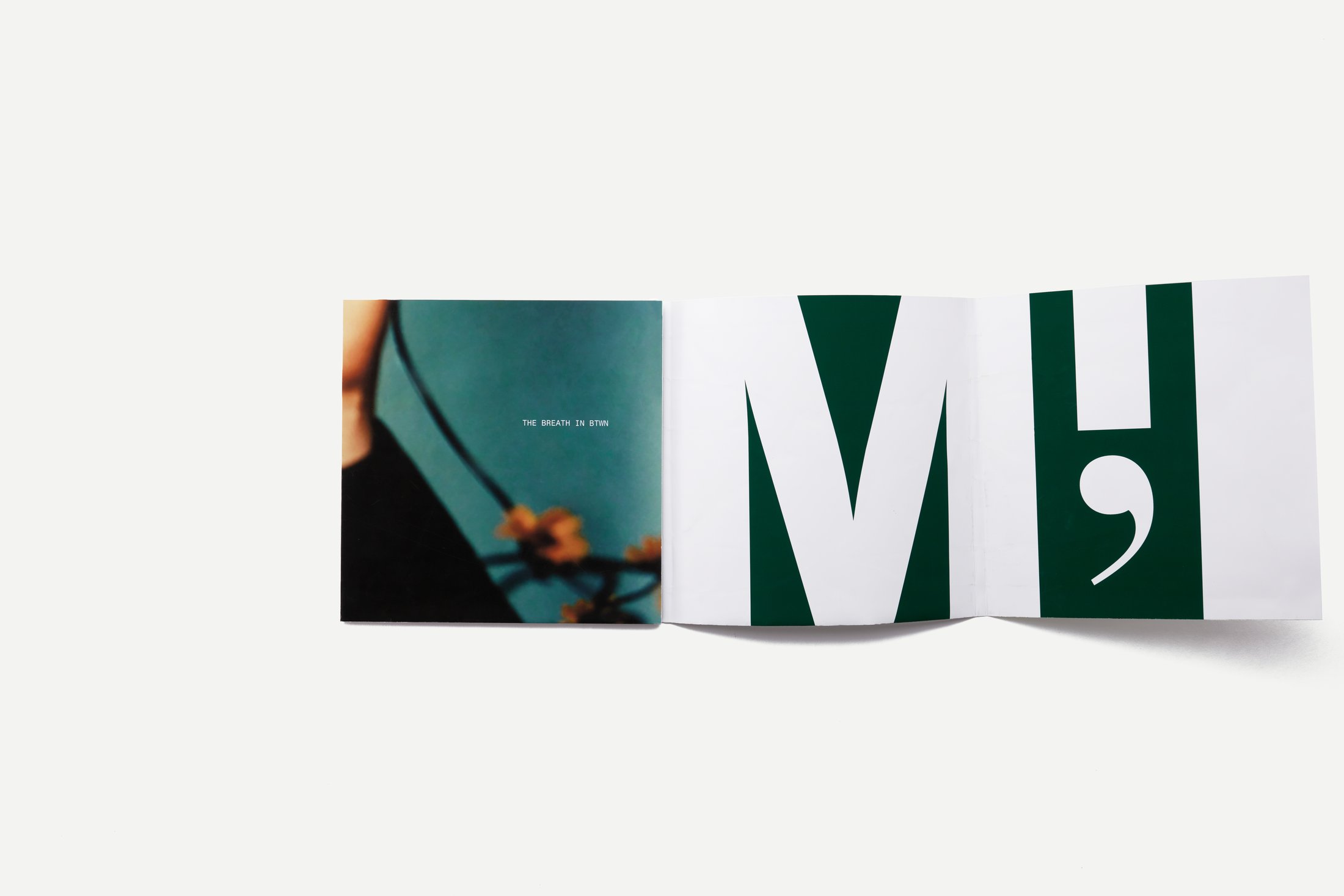 I'M brand book